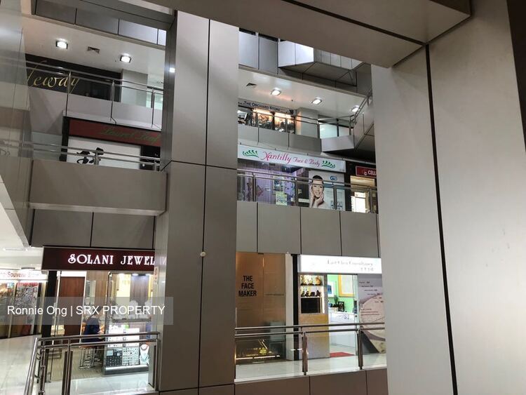 Orchard Plaza (D9), Retail #324518561